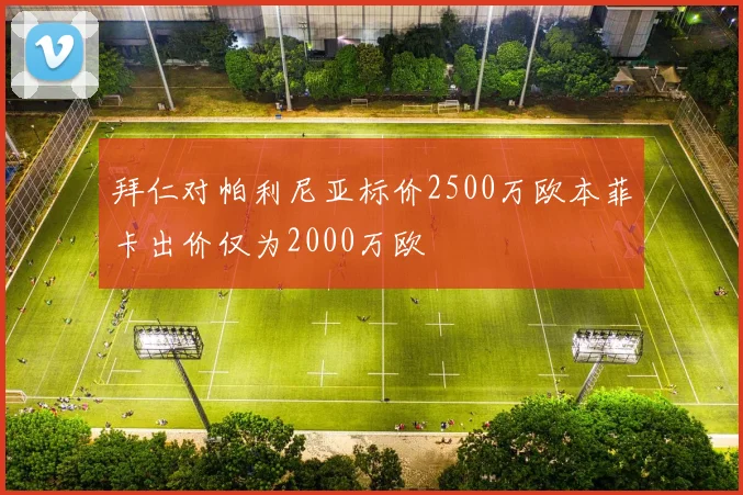 拜仁对帕利尼亚标价2500万欧本菲卡出价仅为2000万欧